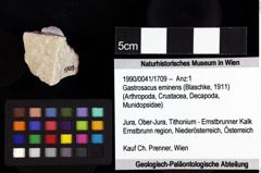 Foto (Objket + Etiketten) von ? Magila sp. 